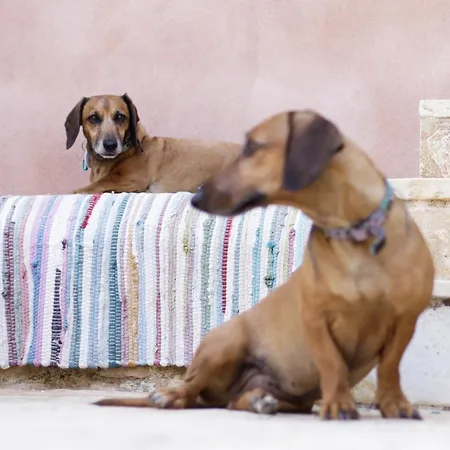The Merchants House Gasthuis